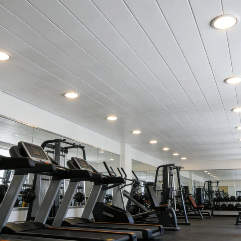 Indoor PVC Ceiling Panel Indoor PVC Ceiling Panel